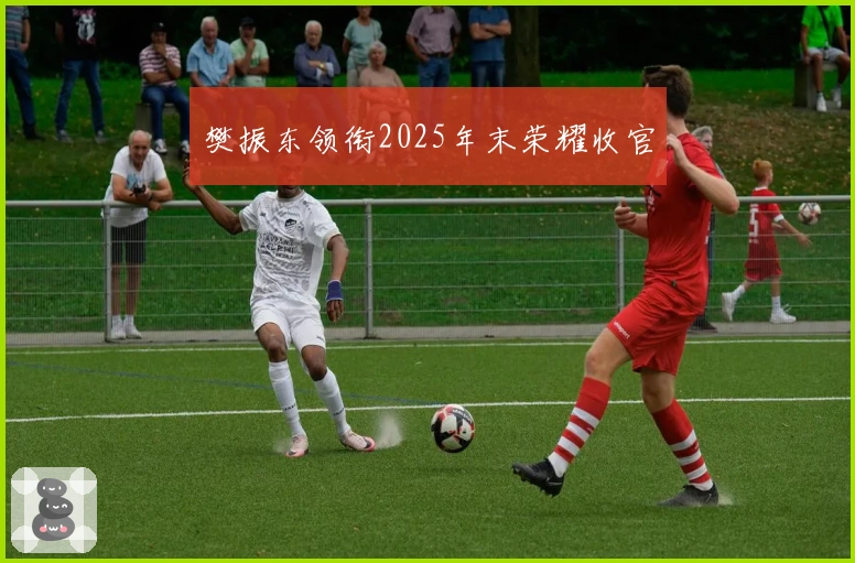 樊振东领衔2025年末荣耀收官